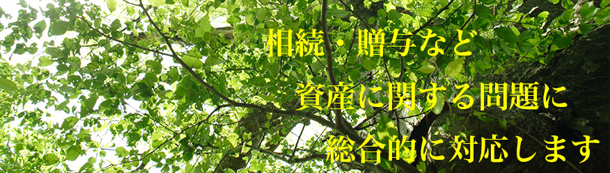 相続・贈与など資産に関する問題に総合的に対応します